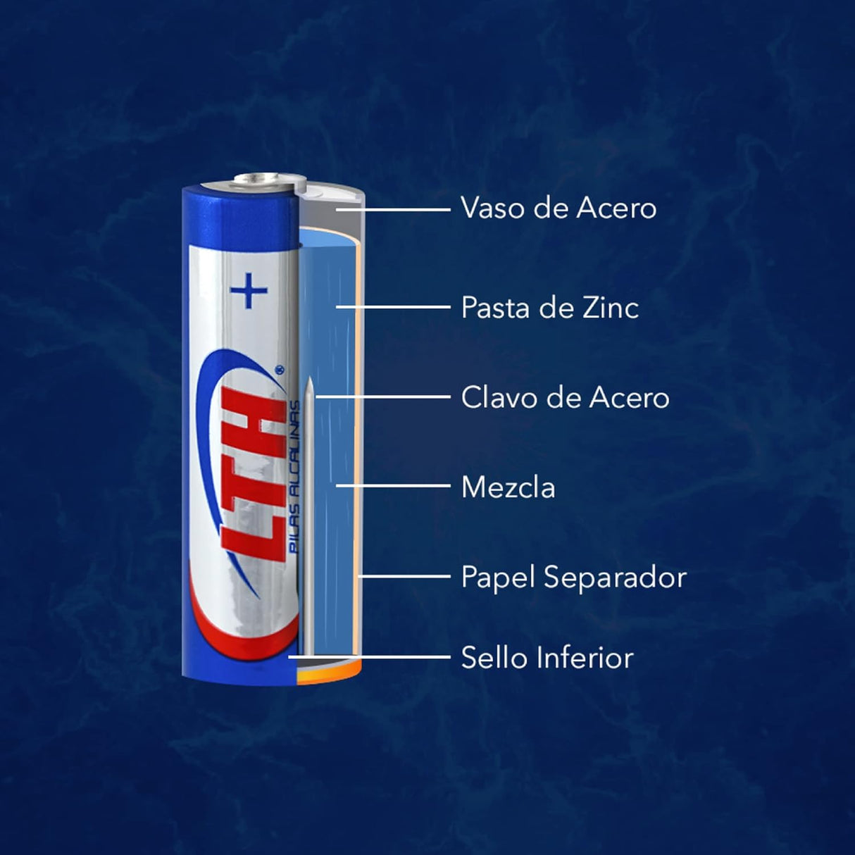 AA10 PILA ALCALINA C1 1.5V LTH